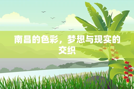 南昌的色彩，梦想与现实的交织
