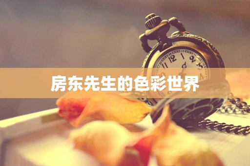 房东先生的色彩世界