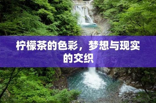 柠檬茶的色彩，梦想与现实的交织