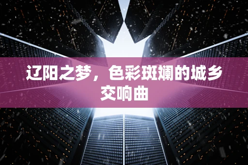 辽阳之梦，色彩斑斓的城乡交响曲