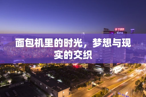 面包机里的时光，梦想与现实的交织