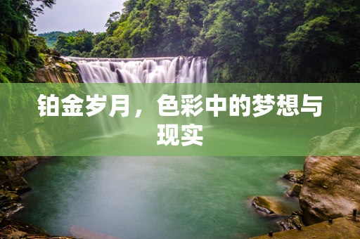 铂金岁月，色彩中的梦想与现实