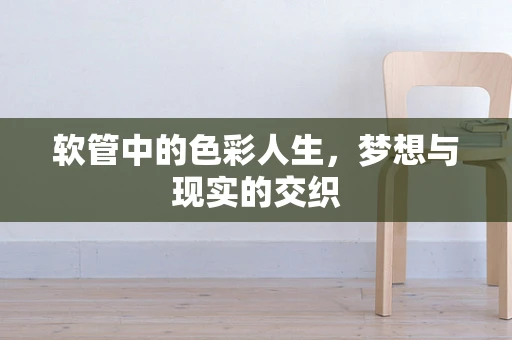 软管中的色彩人生，梦想与现实的交织