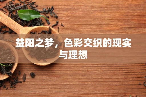 益阳之梦，色彩交织的现实与理想