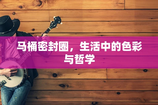 马桶密封圈，生活中的色彩与哲学