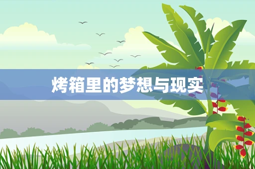 烤箱里的梦想与现实