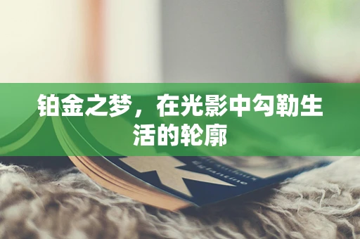铂金之梦，在光影中勾勒生活的轮廓