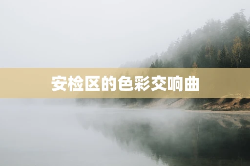 安检区的色彩交响曲
