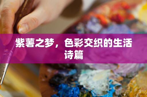 紫薯之梦，色彩交织的生活诗篇