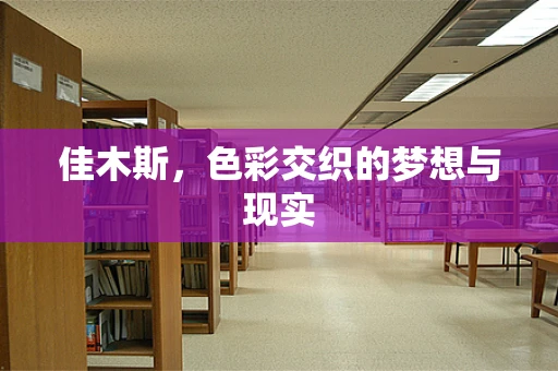 佳木斯，色彩交织的梦想与现实