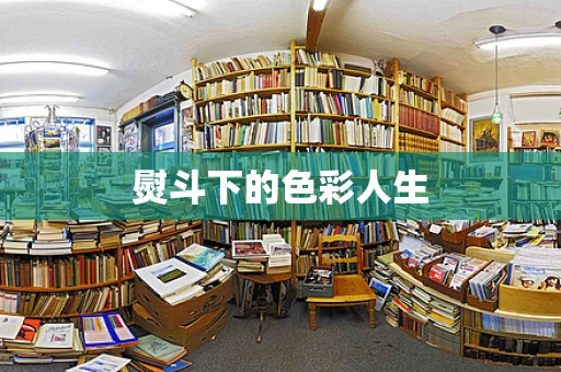 熨斗下的色彩人生