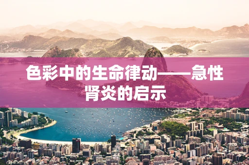 色彩中的生命律动——急性肾炎的启示