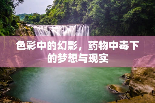 色彩中的幻影，药物中毒下的梦想与现实