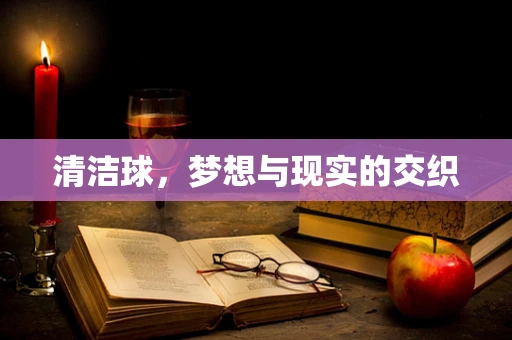 清洁球，梦想与现实的交织