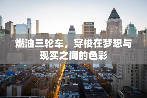 燃油三轮车，穿梭在梦想与现实之间的色彩