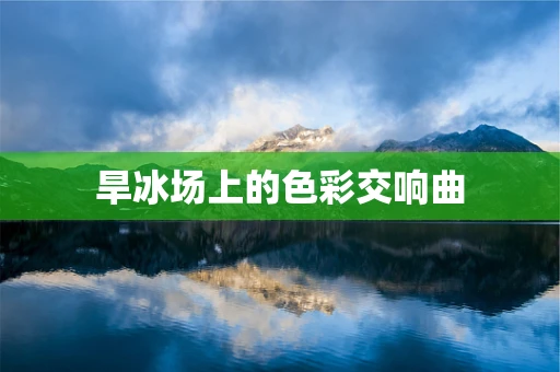旱冰场上的色彩交响曲