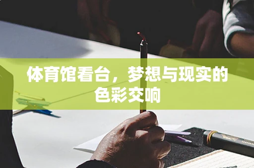 体育馆看台，梦想与现实的色彩交响