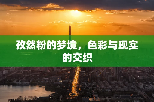 孜然粉的梦境，色彩与现实的交织