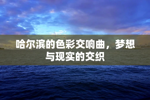 哈尔滨的色彩交响曲，梦想与现实的交织