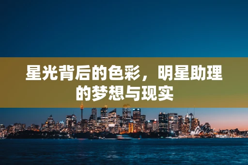 星光背后的色彩，明星助理的梦想与现实