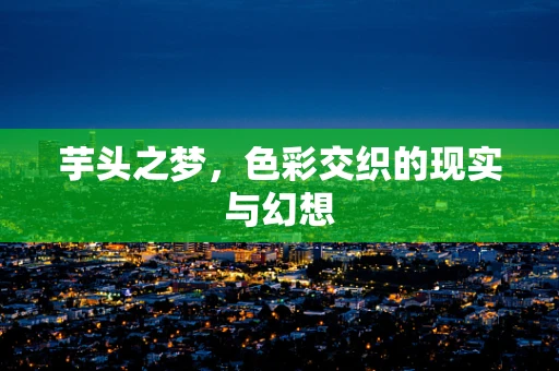 芋头之梦，色彩交织的现实与幻想