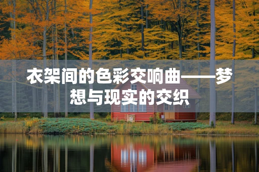 衣架间的色彩交响曲——梦想与现实的交织