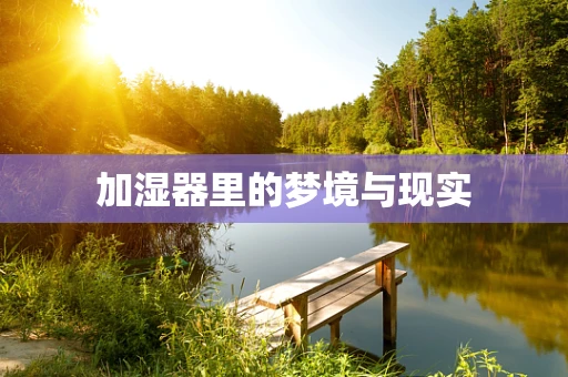 加湿器里的梦境与现实