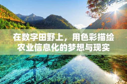 在数字田野上，用色彩描绘农业信息化的梦想与现实