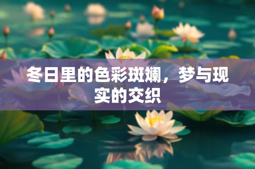 冬日里的色彩斑斓，梦与现实的交织