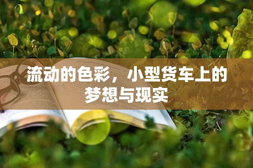 流动的色彩，小型货车上的梦想与现实