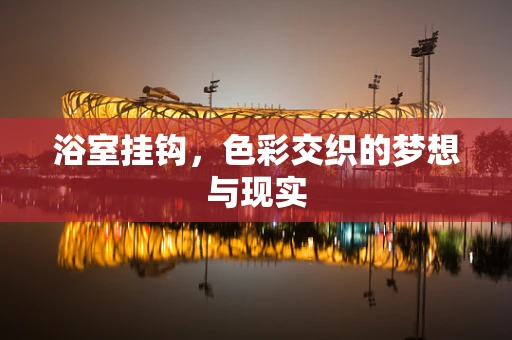 浴室挂钩，色彩交织的梦想与现实