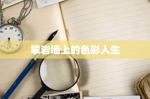攀岩墙上的色彩人生