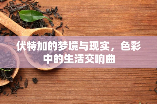 伏特加的梦境与现实，色彩中的生活交响曲