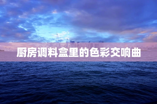 厨房调料盒里的色彩交响曲