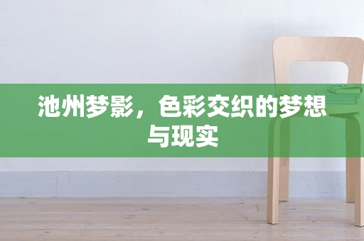 池州梦影，色彩交织的梦想与现实