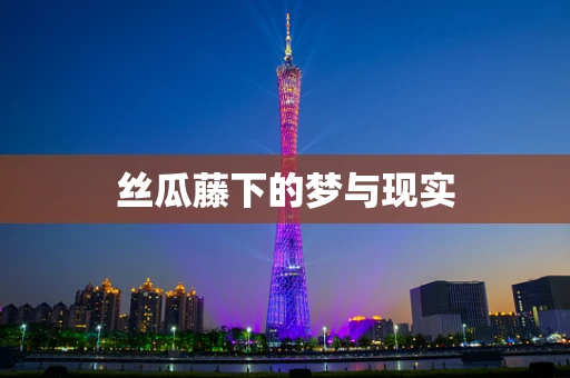 丝瓜藤下的梦与现实