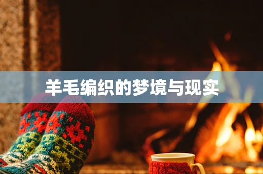 羊毛编织的梦境与现实