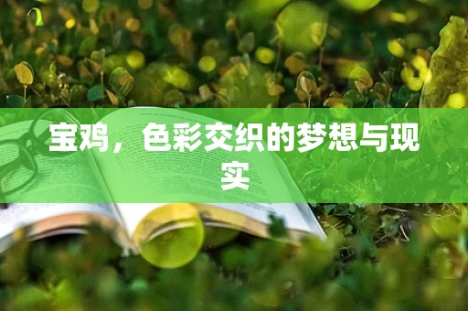宝鸡，色彩交织的梦想与现实