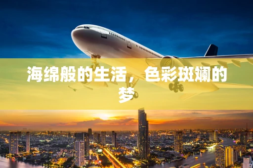 海绵般的生活，色彩斑斓的梦