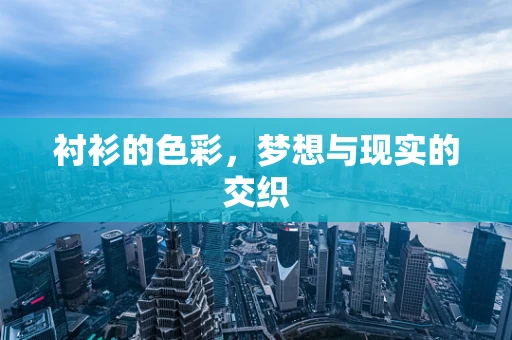 衬衫的色彩，梦想与现实的交织