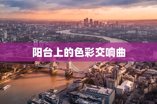 阳台上的色彩交响曲