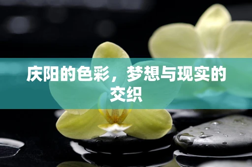 庆阳的色彩，梦想与现实的交织