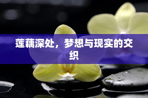 莲藕深处，梦想与现实的交织