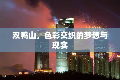 双鸭山，色彩交织的梦想与现实
