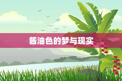 酱油色的梦与现实