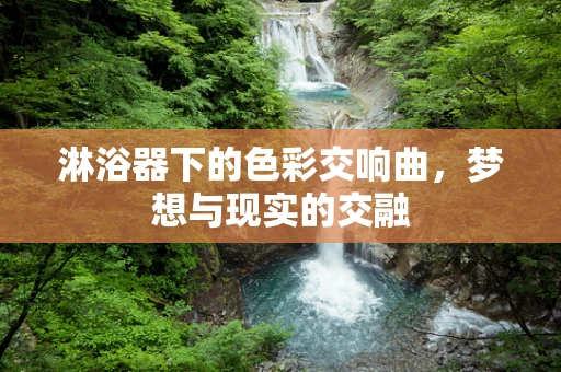 淋浴器下的色彩交响曲，梦想与现实的交融