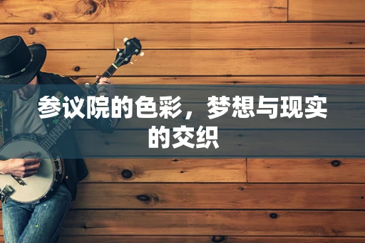 参议院的色彩，梦想与现实的交织