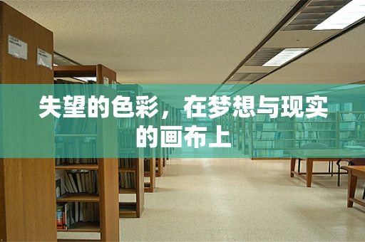 失望的色彩，在梦想与现实的画布上