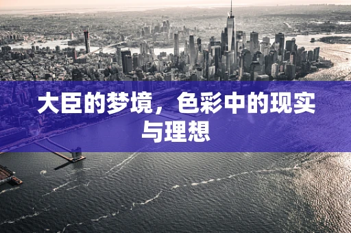 大臣的梦境，色彩中的现实与理想