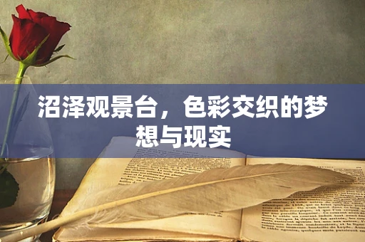 沼泽观景台，色彩交织的梦想与现实
